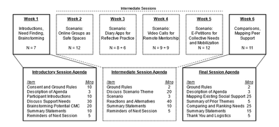 Study overview, session agendas, and participation per session.We had unexpectedly high participation and ran two sessions on the same topic in weeks 3 and 4. Logistical barriers prevented this in later weeks.